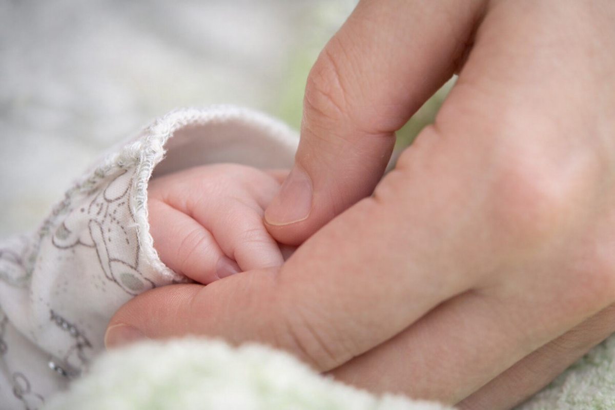    Фото: ГТРК «Карелия»