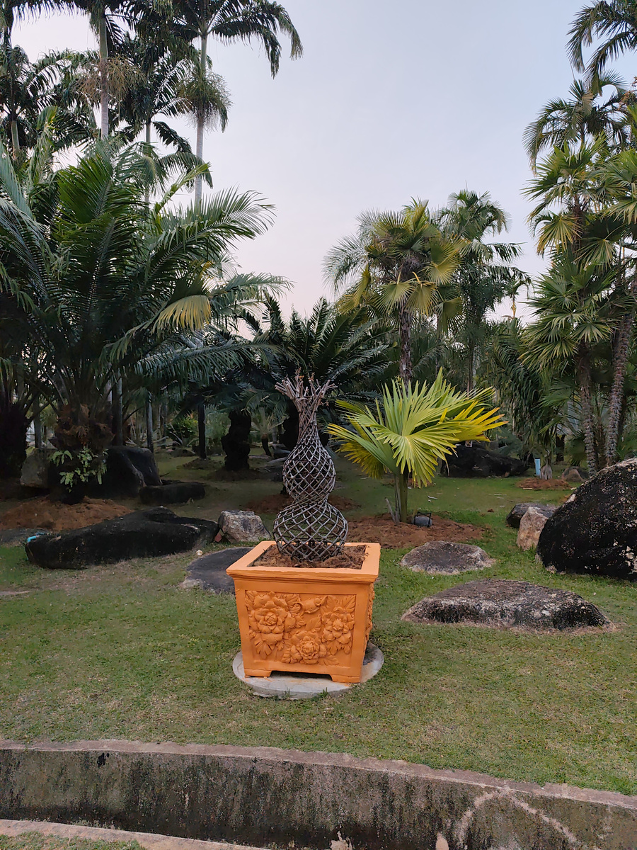 Сад Нонг Нуч в Паттайе