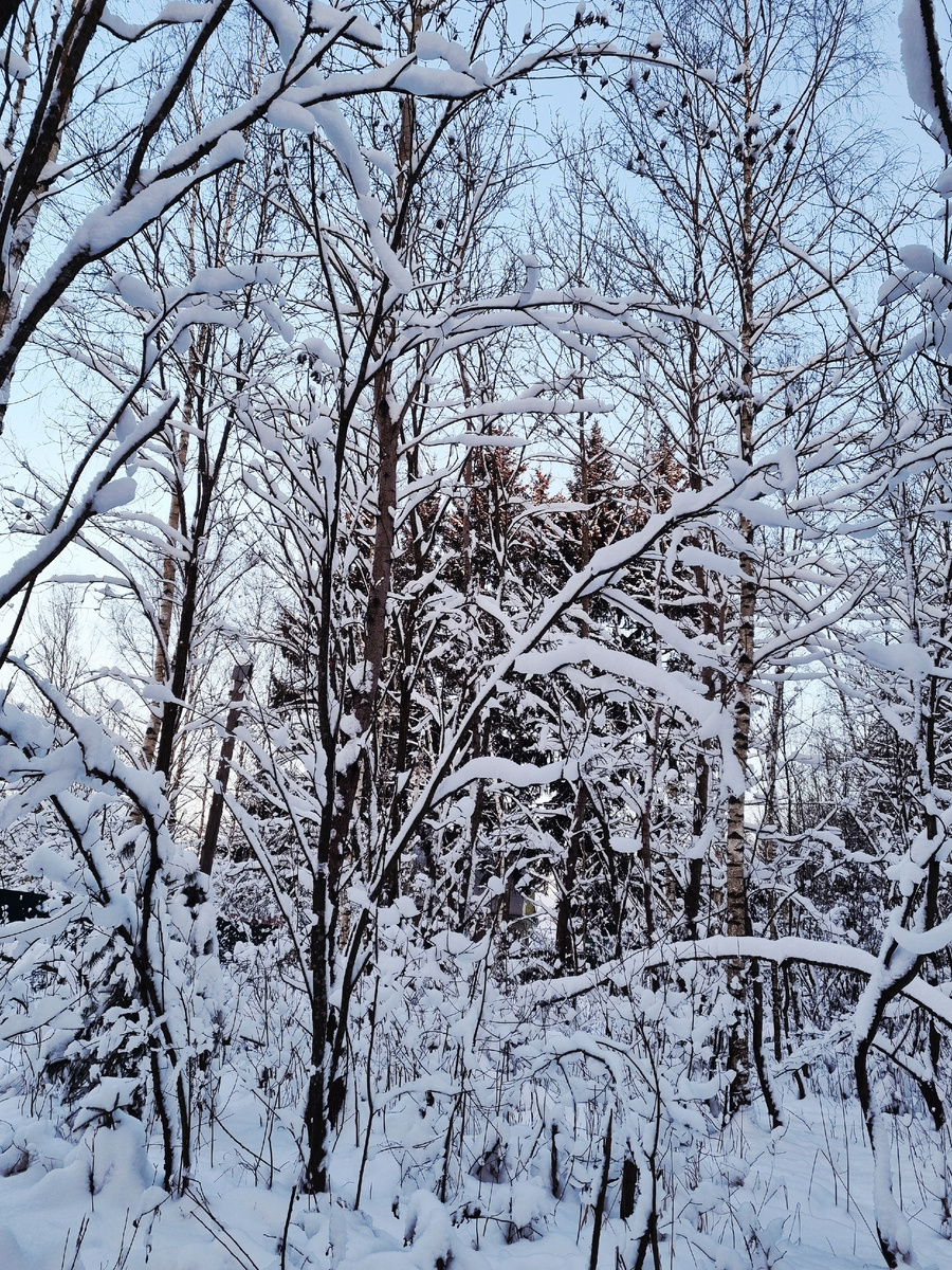 Фото автора статьи.
