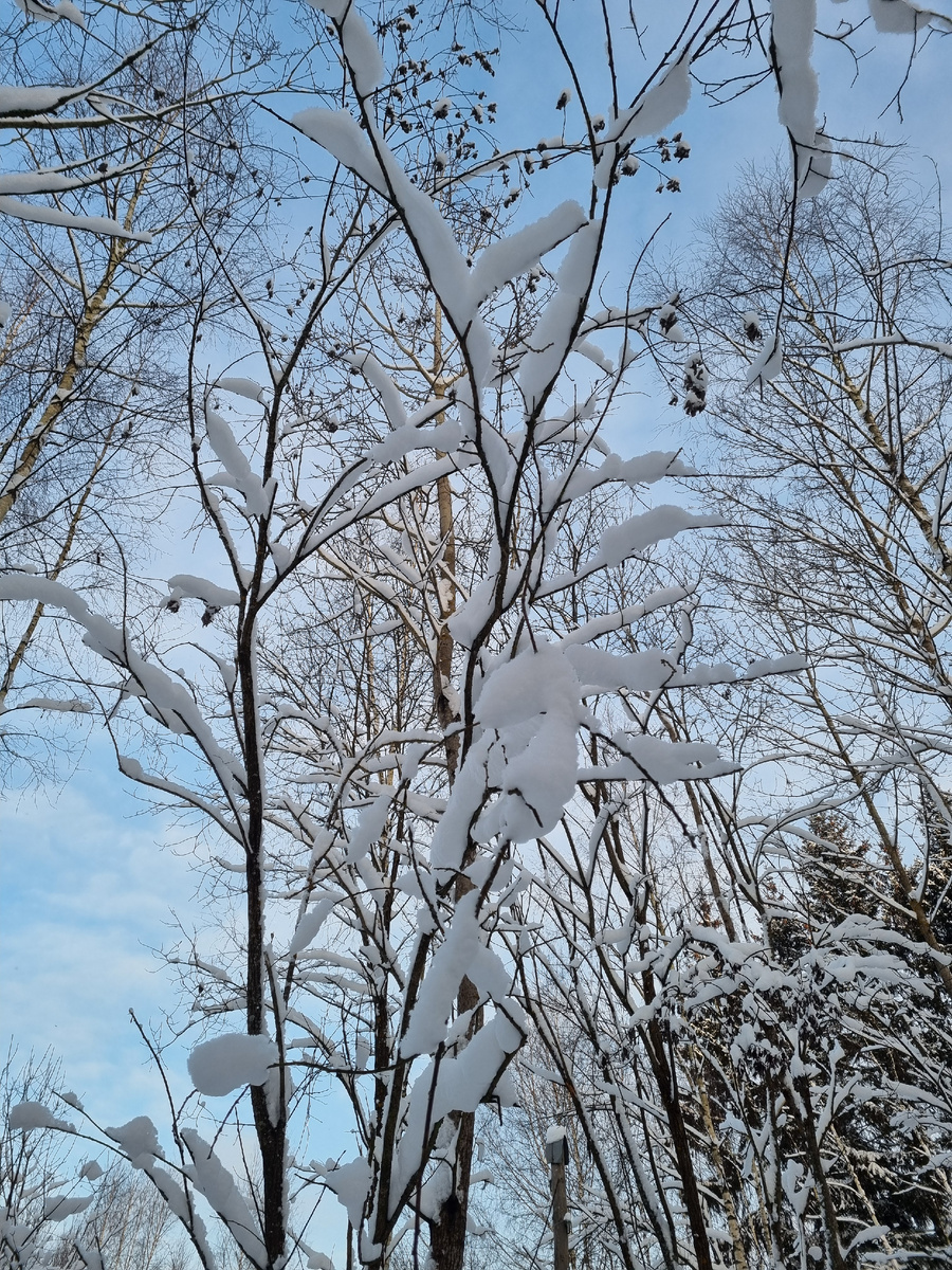 Фото автора статьи.