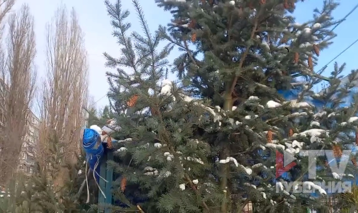     Фото: скрин видео