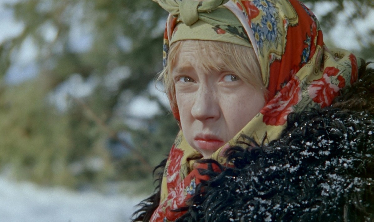 Фото взято из открытого источника