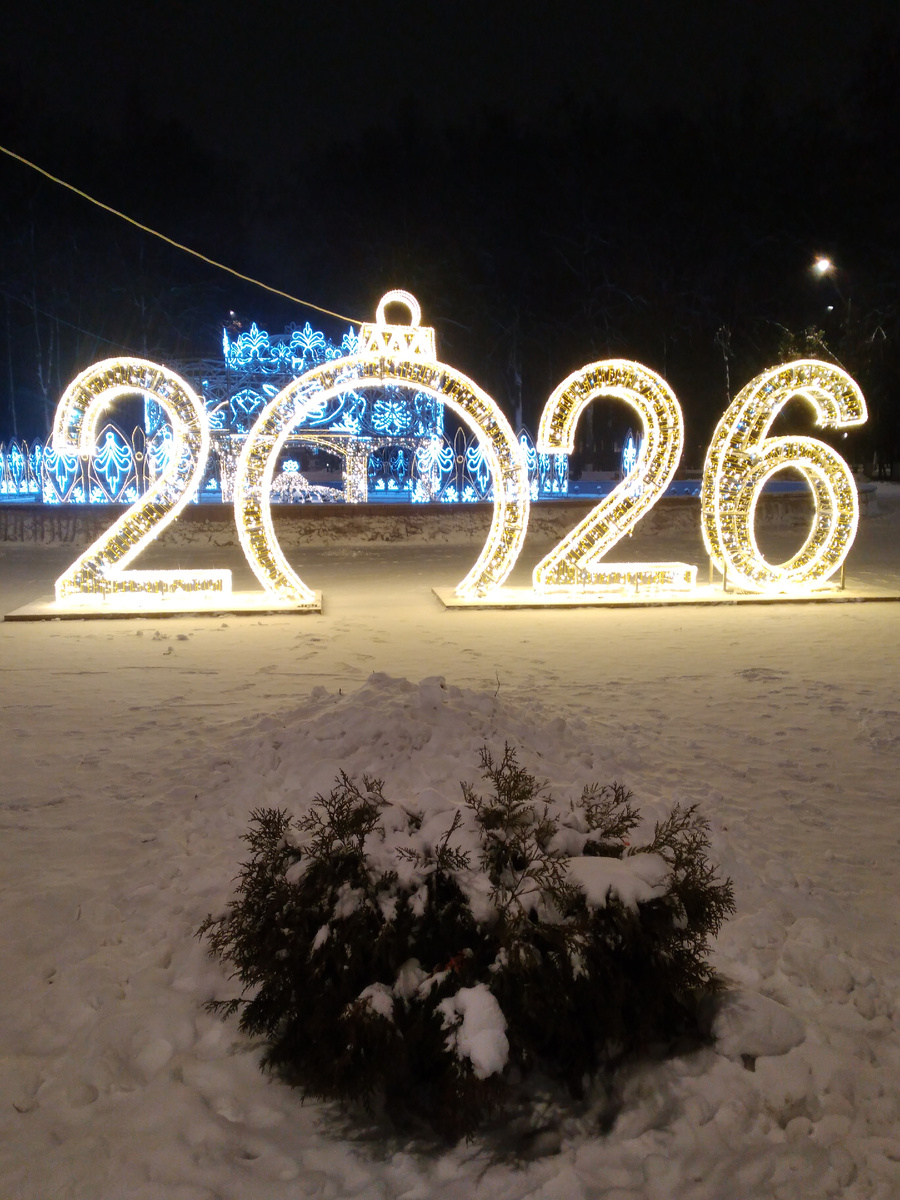 Арка в новый год.