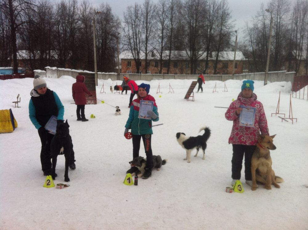    Администрация города Костромы