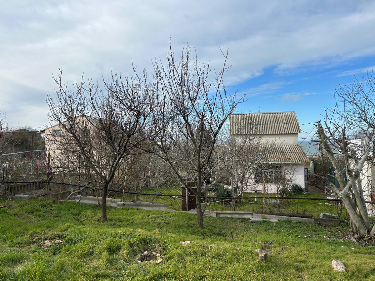 Мой «зимний» сад