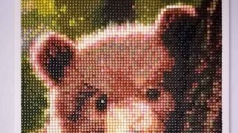 Мой Новогодний подарок 2026