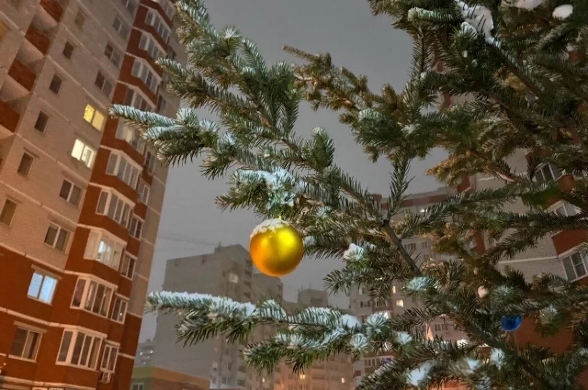    Появился список адресов, куда самарцы могут сдать ёлки после 6 января