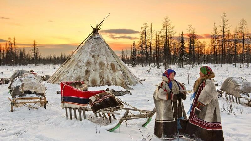    Фото: longtaildog/Shutterstock/Fotodom