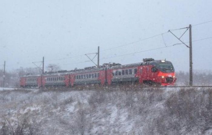 Иллюстрация: СКППК