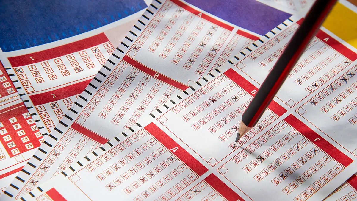    Фото: vm.ru Оливия Ильинская