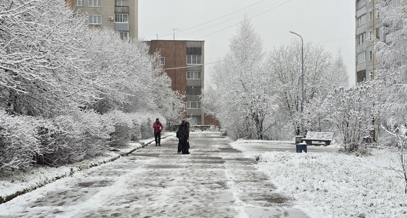    Фото: prochepetsk.ru