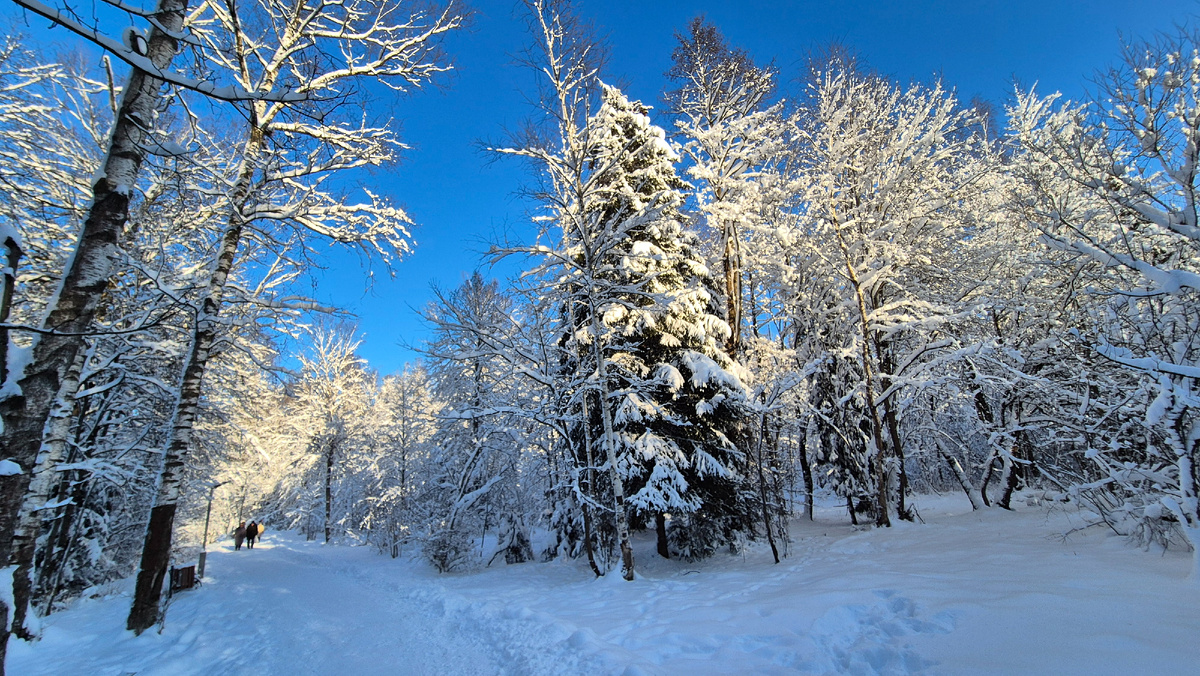 Начало года