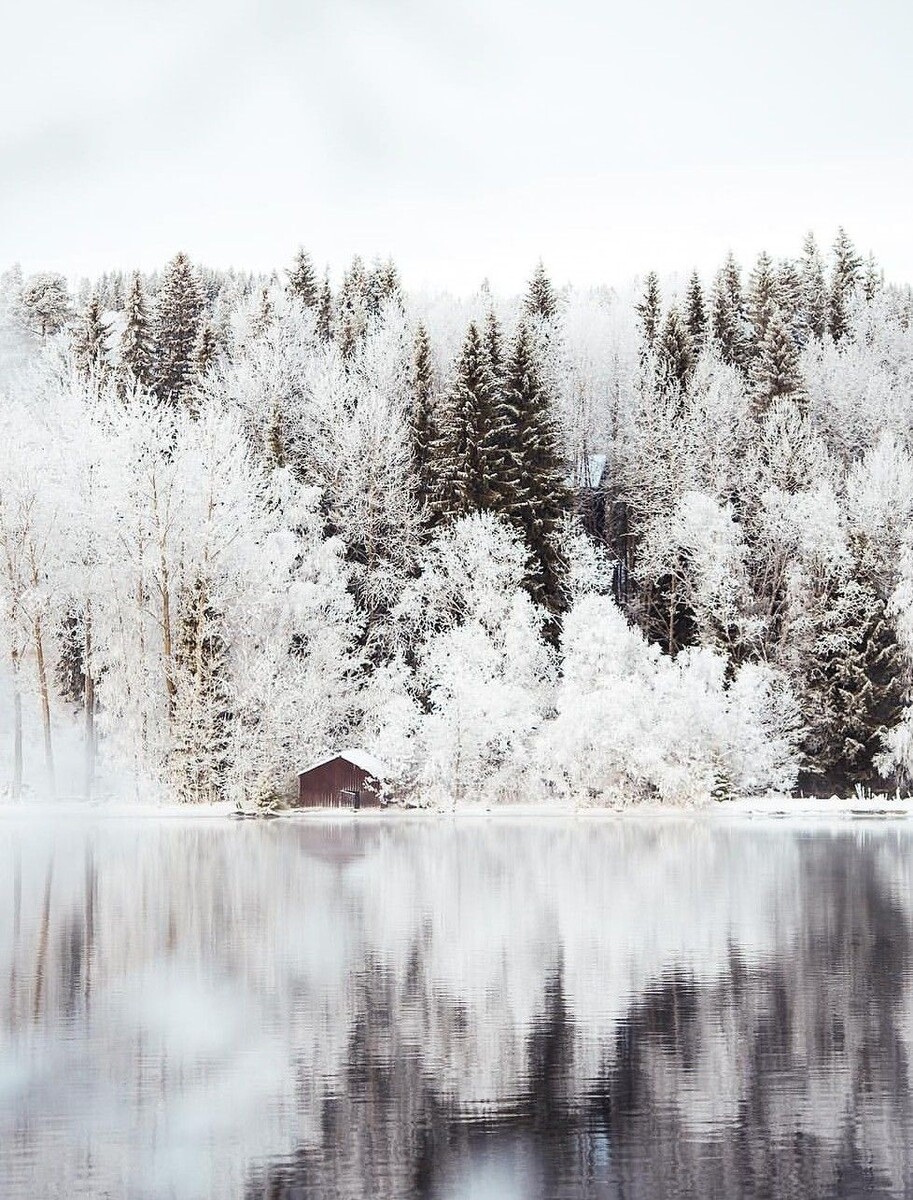 Зима учит нас замедляться, сохранять внутренний покой и не тратить силы напрасно. Это время тишины, глубины и доверия процессу. Зима формирует внутренний стержень, умение быть с собой, даже когда внешне нет движения.