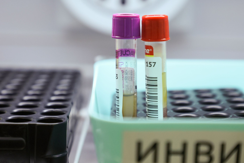    Сергей Петров/NEWS.ru