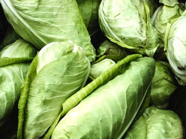 Всё, что связано с капустой, будет в тренде в следующем году, сообщает Pinterest. Mint Images/ Getty Images