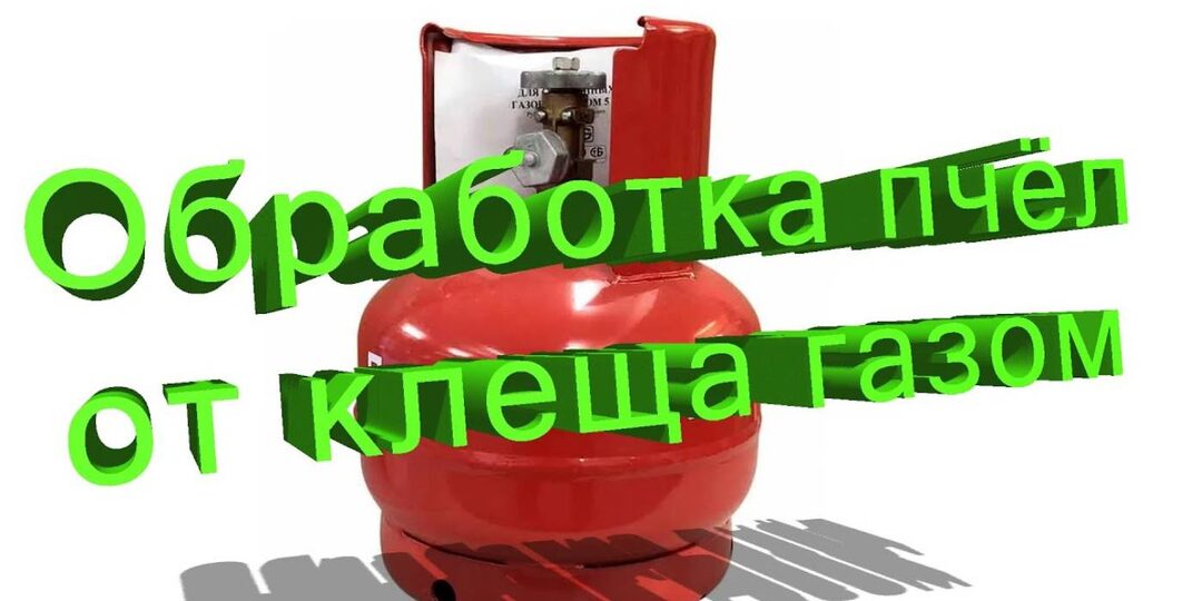 Профессор Кашковский про обработку пчёл от клеща газом