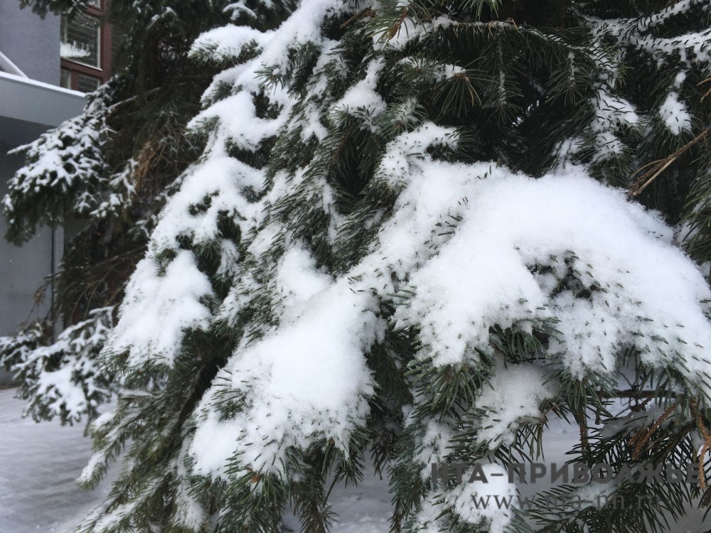    Нижегородцам напомнили о правилах катания на "ватрушках"