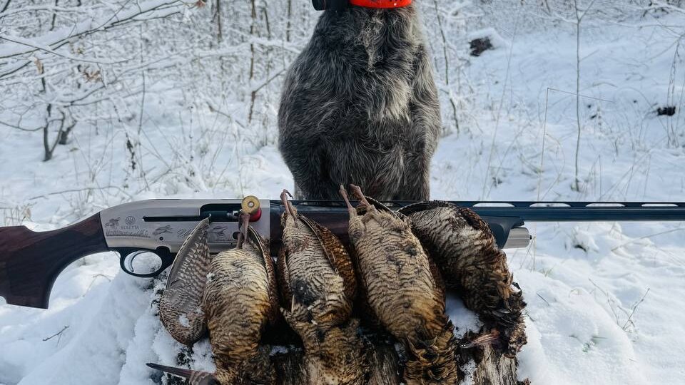 Новогодний 70ый птиц