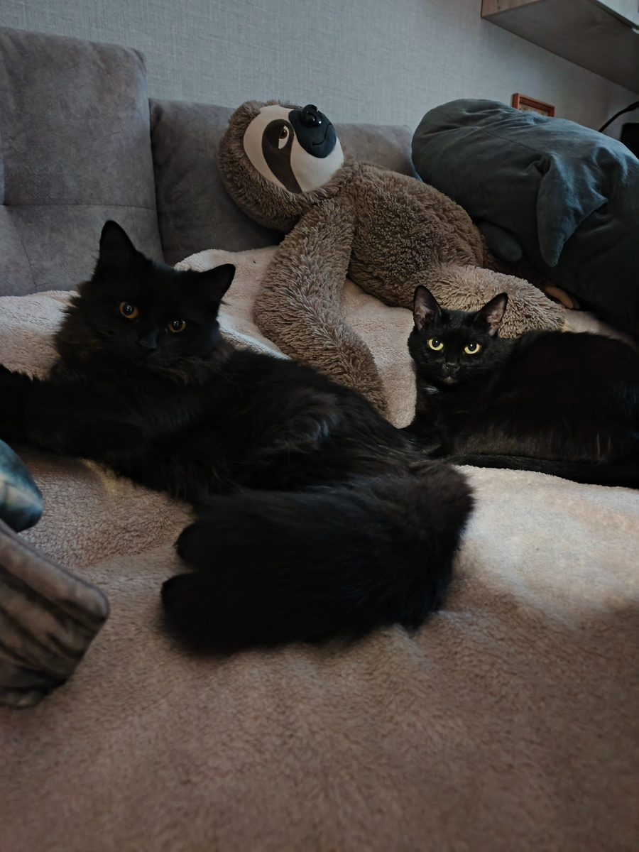 Это просто ангелочки на первый взгляд