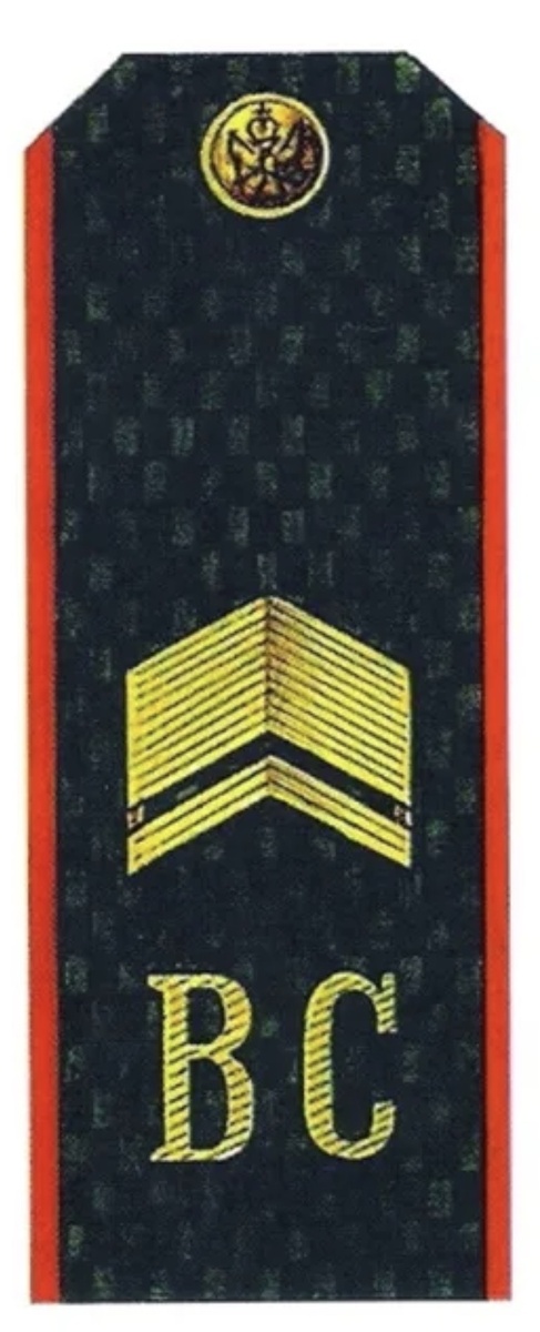 Фото с интернета.