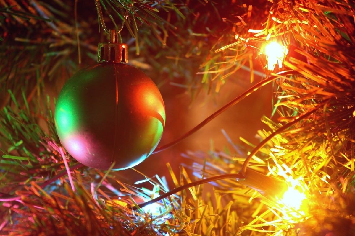     / Источник: Анна Рыжкова © ИА REGNUM