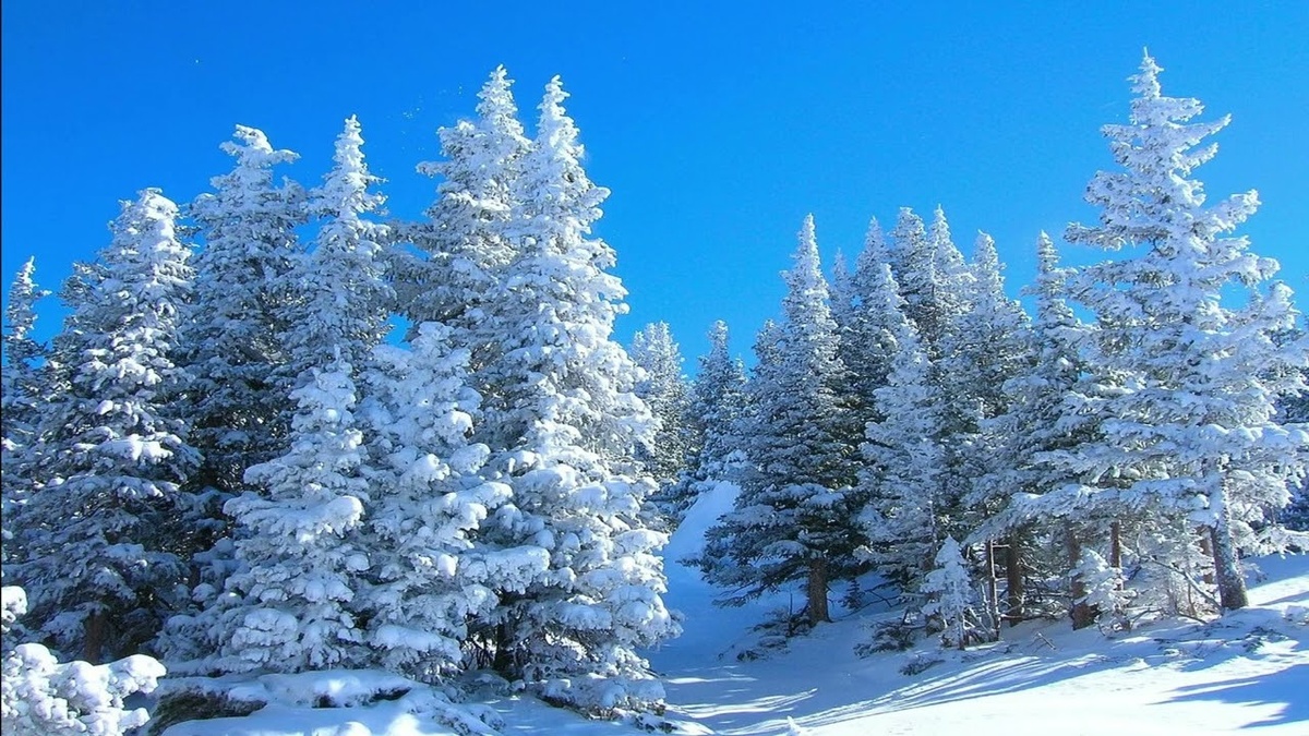 Картинка найдена на просторах интернета, ссылка https://yandex.ru/images/search?from=tabbar&img_url=https%3A%2Fi%2F.pinimg.com%2Foriginals%2Fa8%2F34%2Fа3f%2Fa83р43f81051с2879b5e7bd53274cf0591a19.jpg&lr=47&pos=15&rpt=simage&text=%D1%86%D0%B2%D0%B5%D1%82%D1%8B%20%D0%BA%D1%80%D1%83%D0%BF%D0%BD%D0%BE%20%D1%84%D0%BE%D1%82%D0%BE 