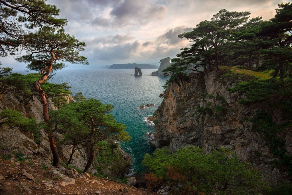 Картинка найдена на просторах интернета, ссылка https://yandex.ru/images/search?from=tabbar&img_url=https%3A%2Fi%2F.pinimg.com%2Foriginals%2Fa8%2F34%2Fа3f%2Fa83р43f81151с2879b5e7bd53274cf0591a19.jpg&lr=47&pos=15&rpt=simage&text=%D1%86%D0%B2%D0%B5%D1%82%D1%8B%20%D0%BA%D1%80%D1%83%D0%BF%D0%BD%D0%BE%20%D1%84%D0%BE%D1%82%D0%BE 