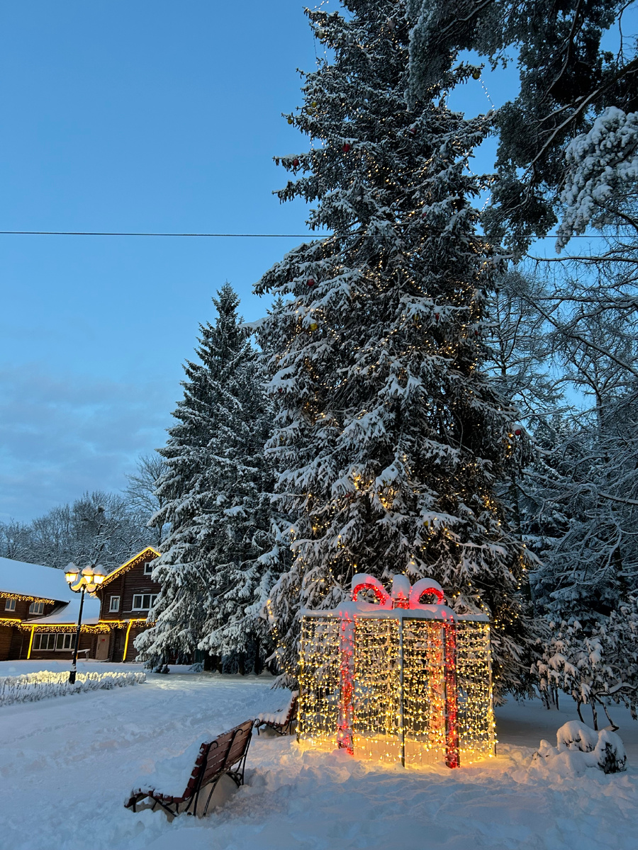 Волшебство теплого света гирлянд и снега.