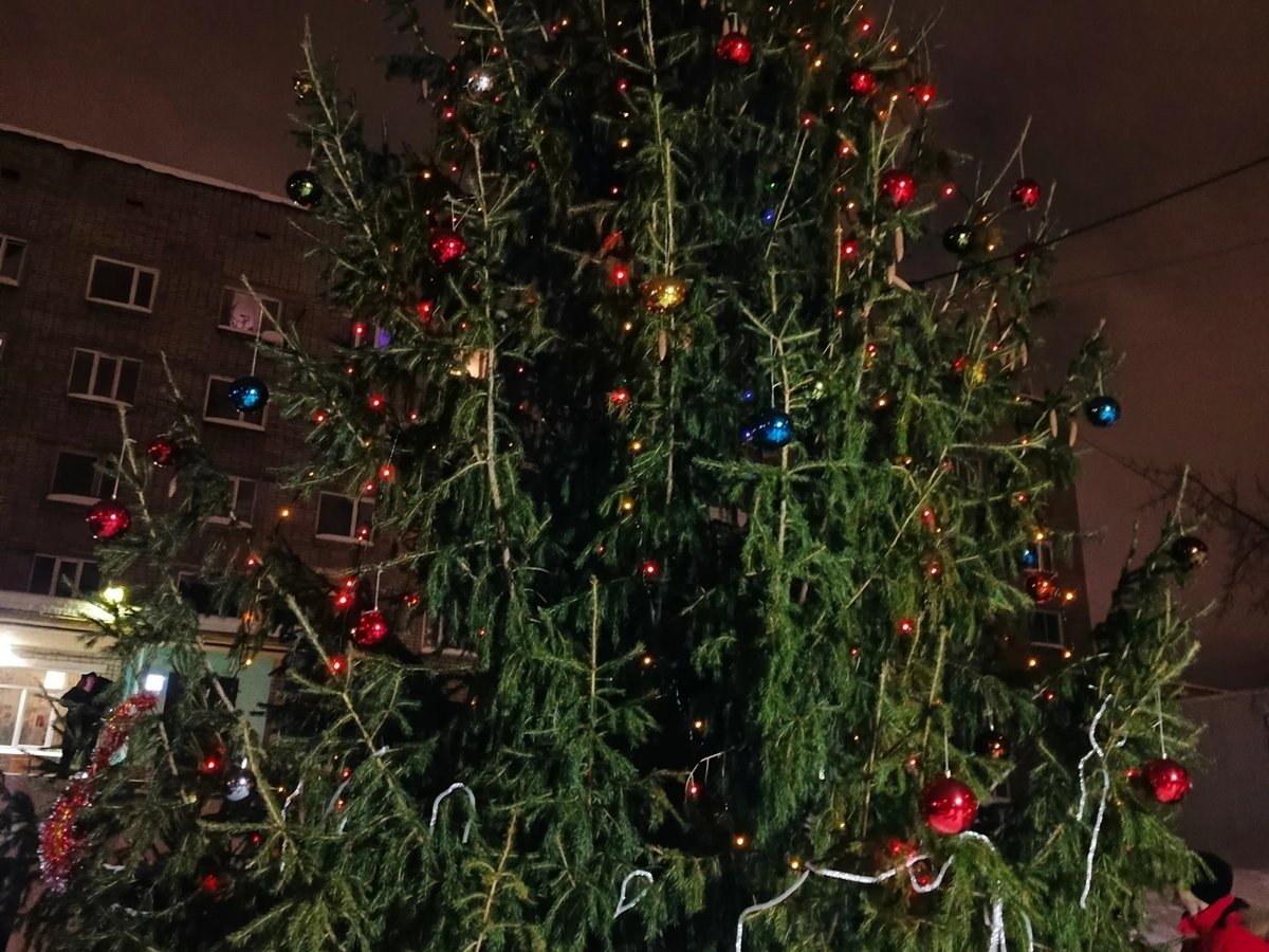    Жители пермского микрорайона Краснова нарядили елку