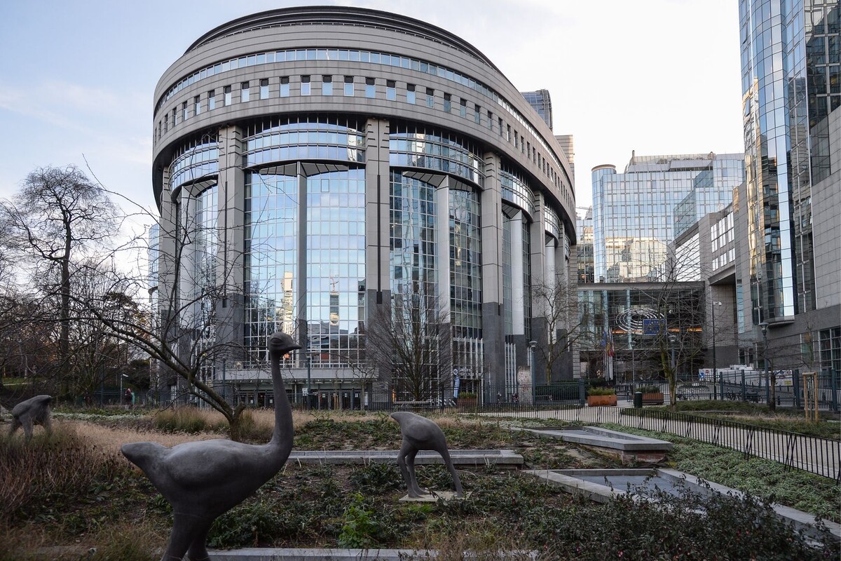     / Источник: © Алексей Витвицкий/ТАСС