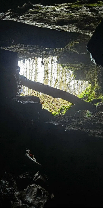 Фото: национального парка "Башкирия"