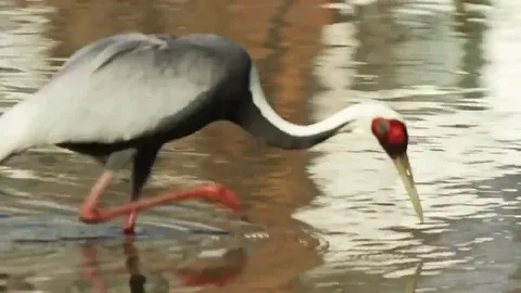 Из открытых источников