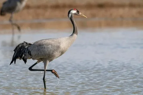 Из открытых источников