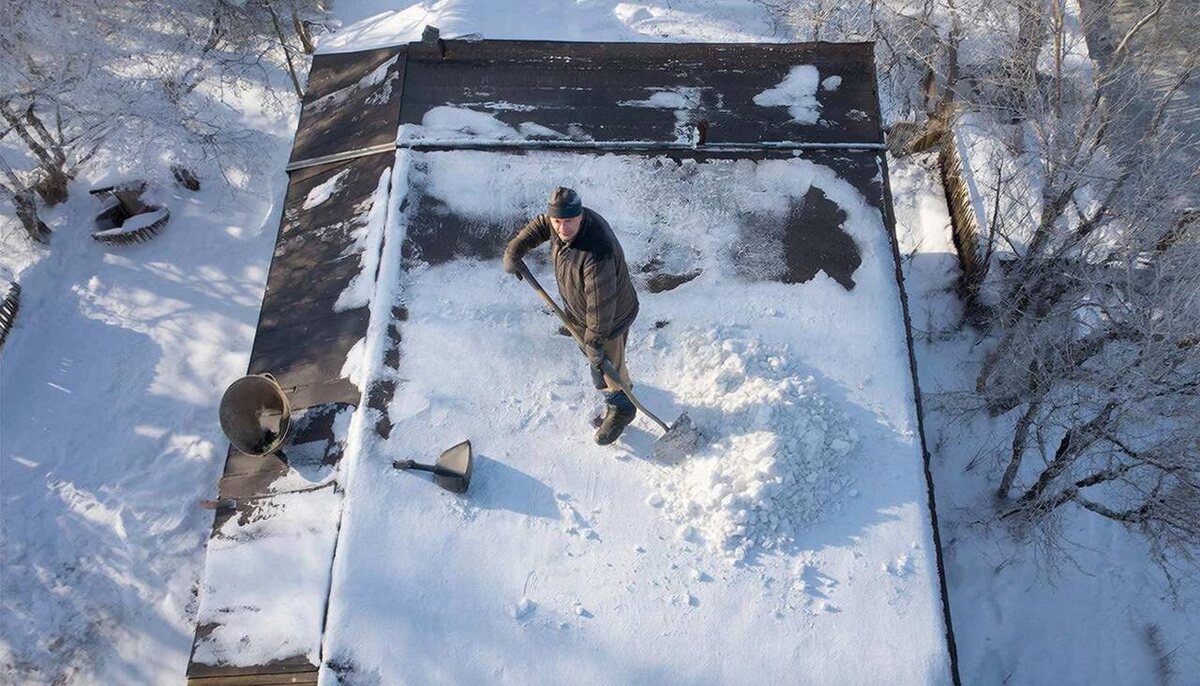 Фото: создано ИИ