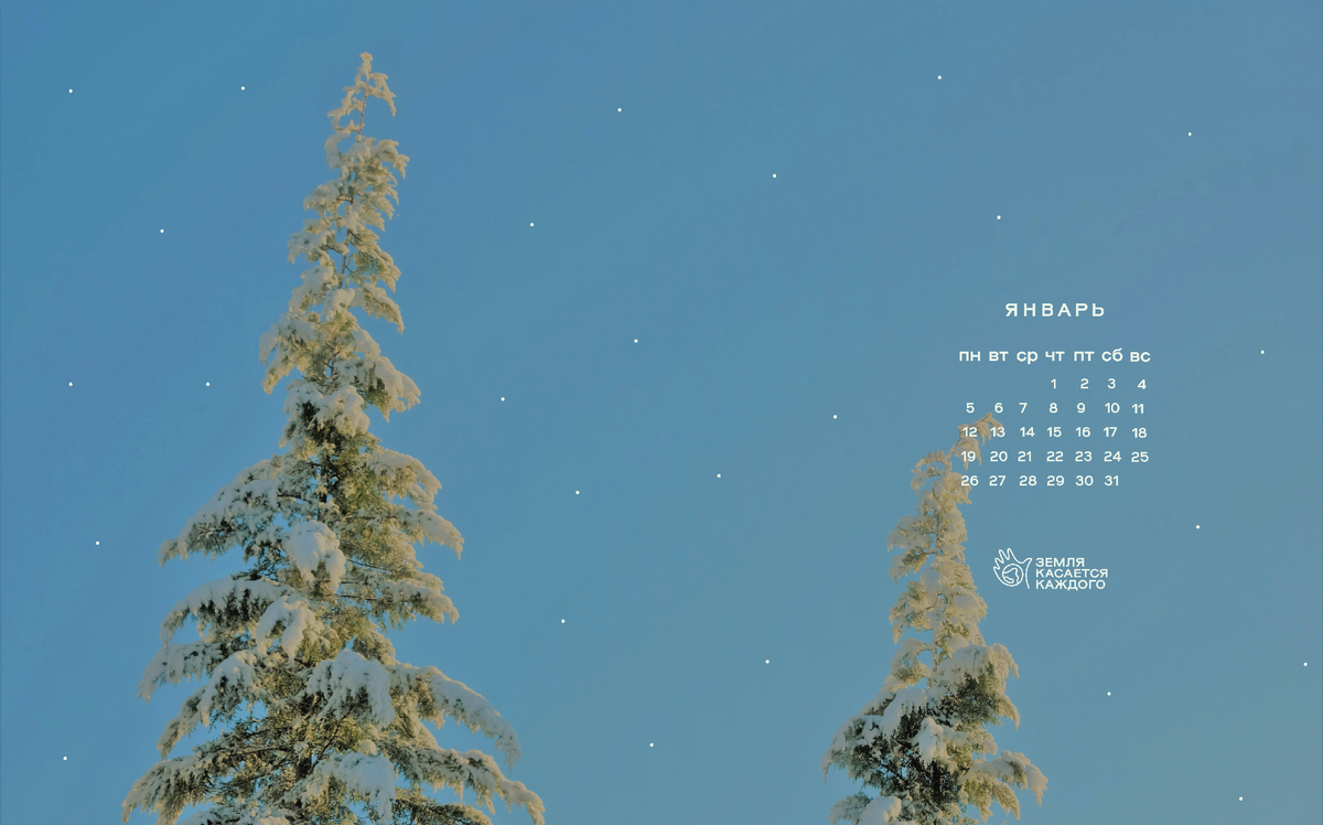 Первый вариант.