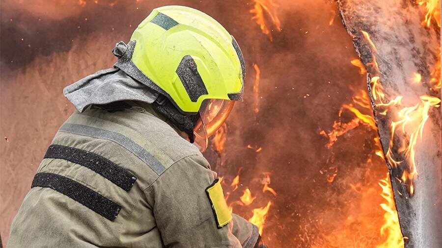    Фото: ИЗВЕСТИЯ/Андрей Эрштрем