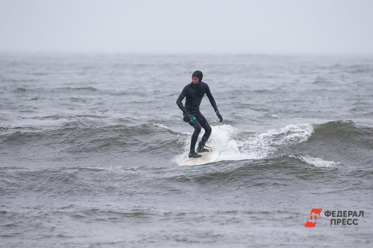 Она позвала на помощь серферов, которые плавали неподалеку.  Фото: Фото: ФедералПресс / Вытольский Виктор
