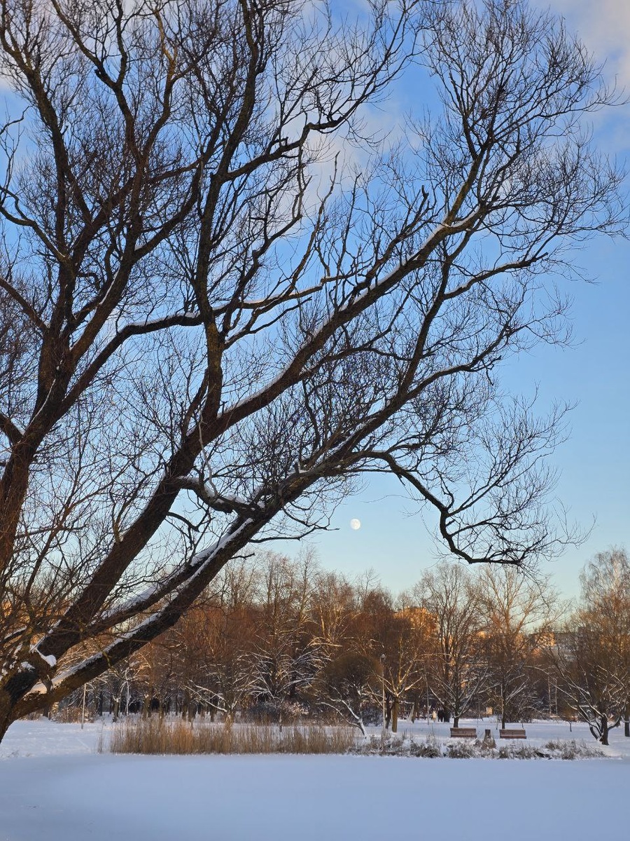 Первое новолуние 2026 набирает силу
