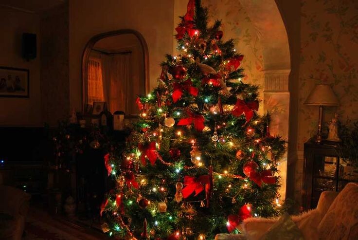 Фото из Интернета 