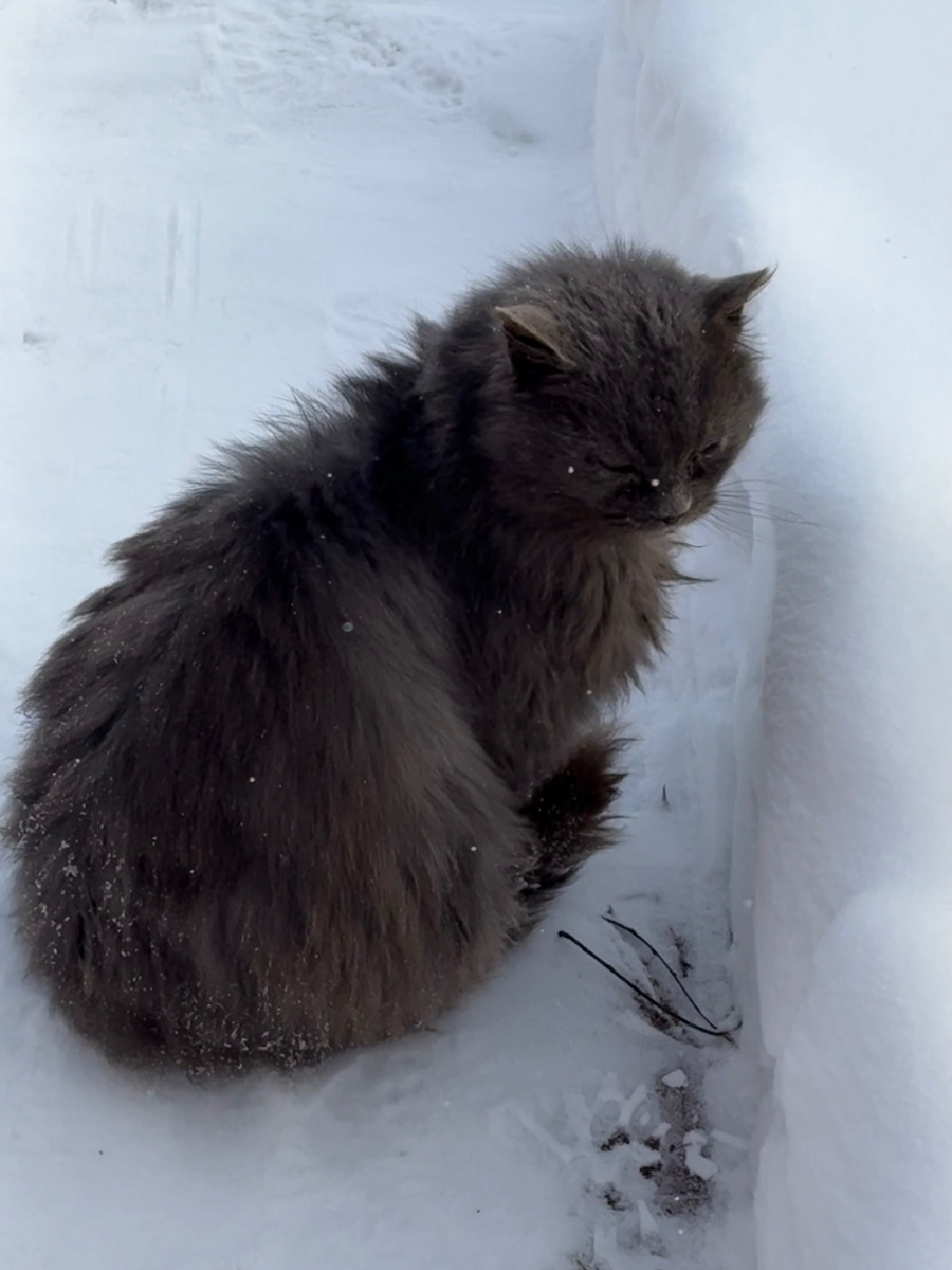 Наш главный помощник по уборке снега!
