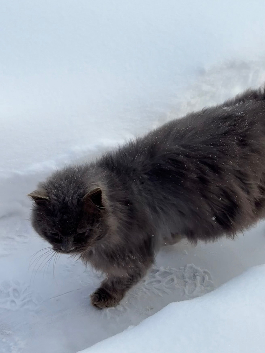 Ну я же иду! Чего еще надо!