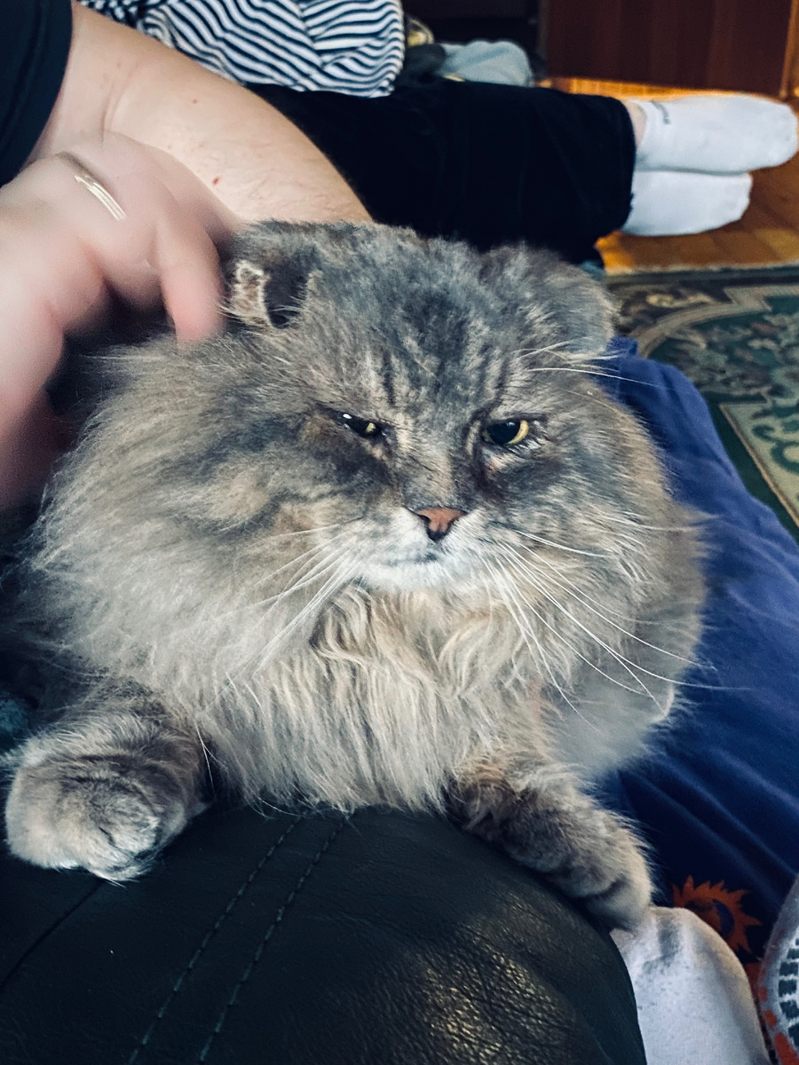 Филя ровно год назад! Везде фото автора.