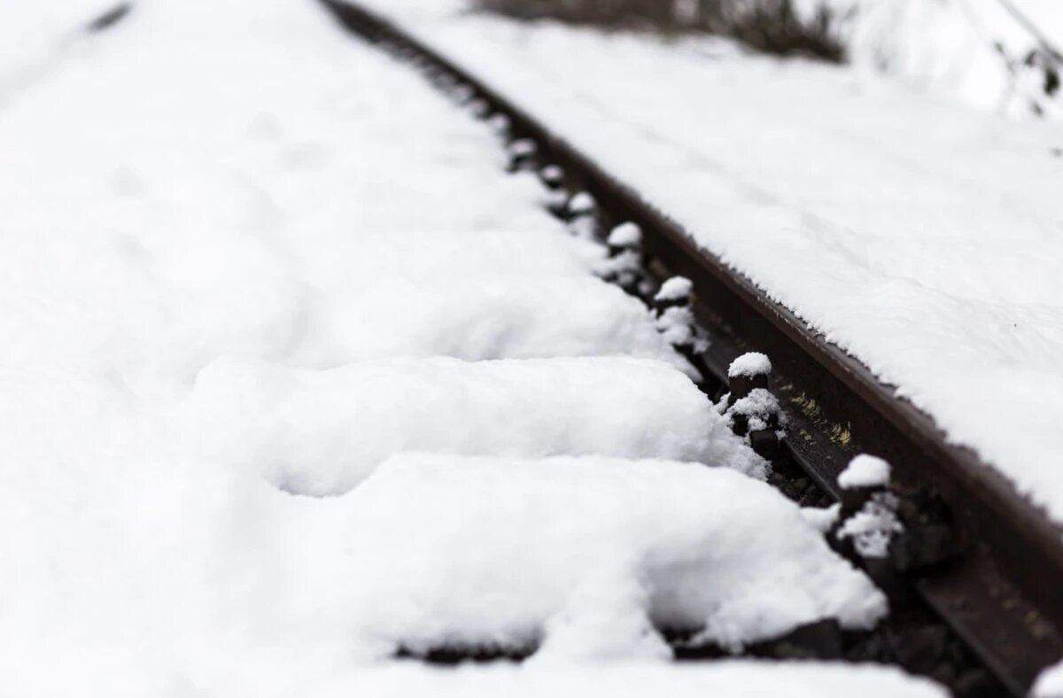    Фото freepik.com