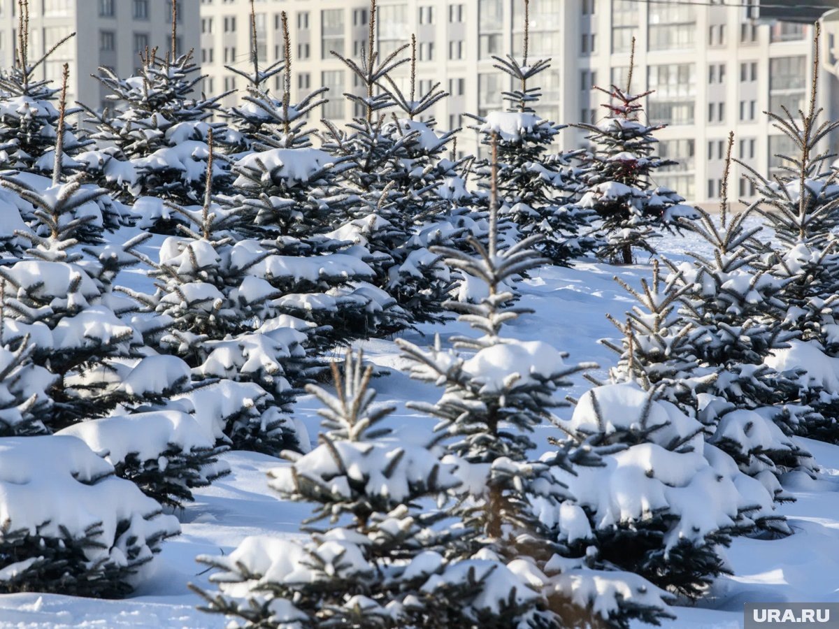     На Среднем Урале похолодает (архивное фото)