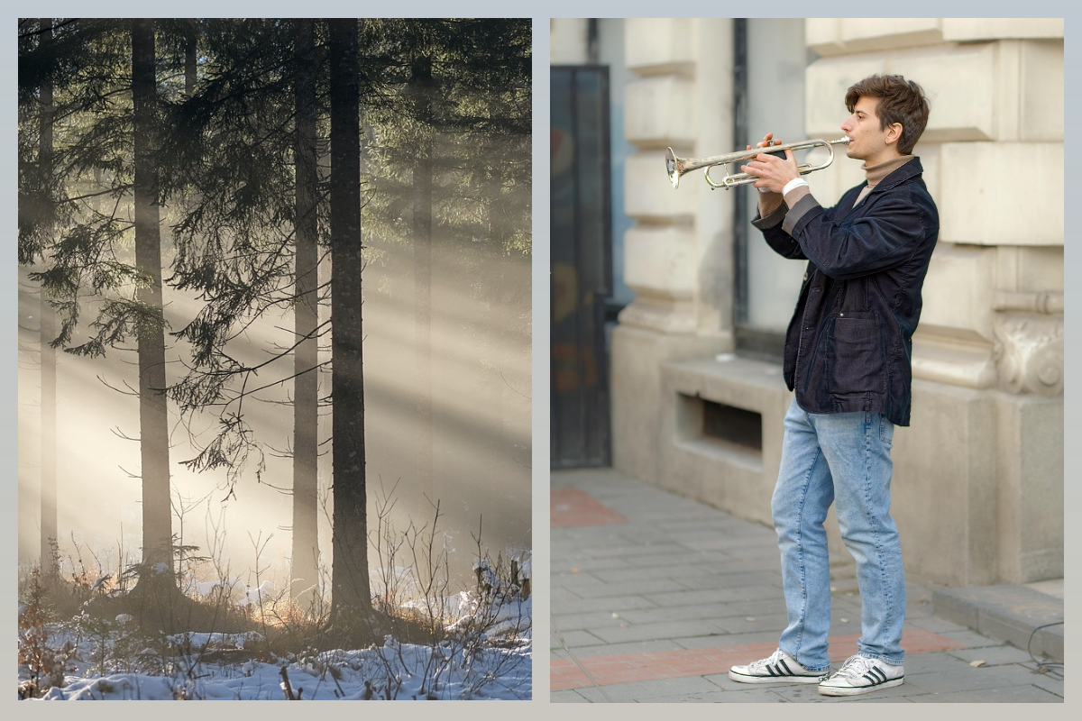 Лунный календарь на 2 января 2026 года - символ "Труба"/pixabay.com