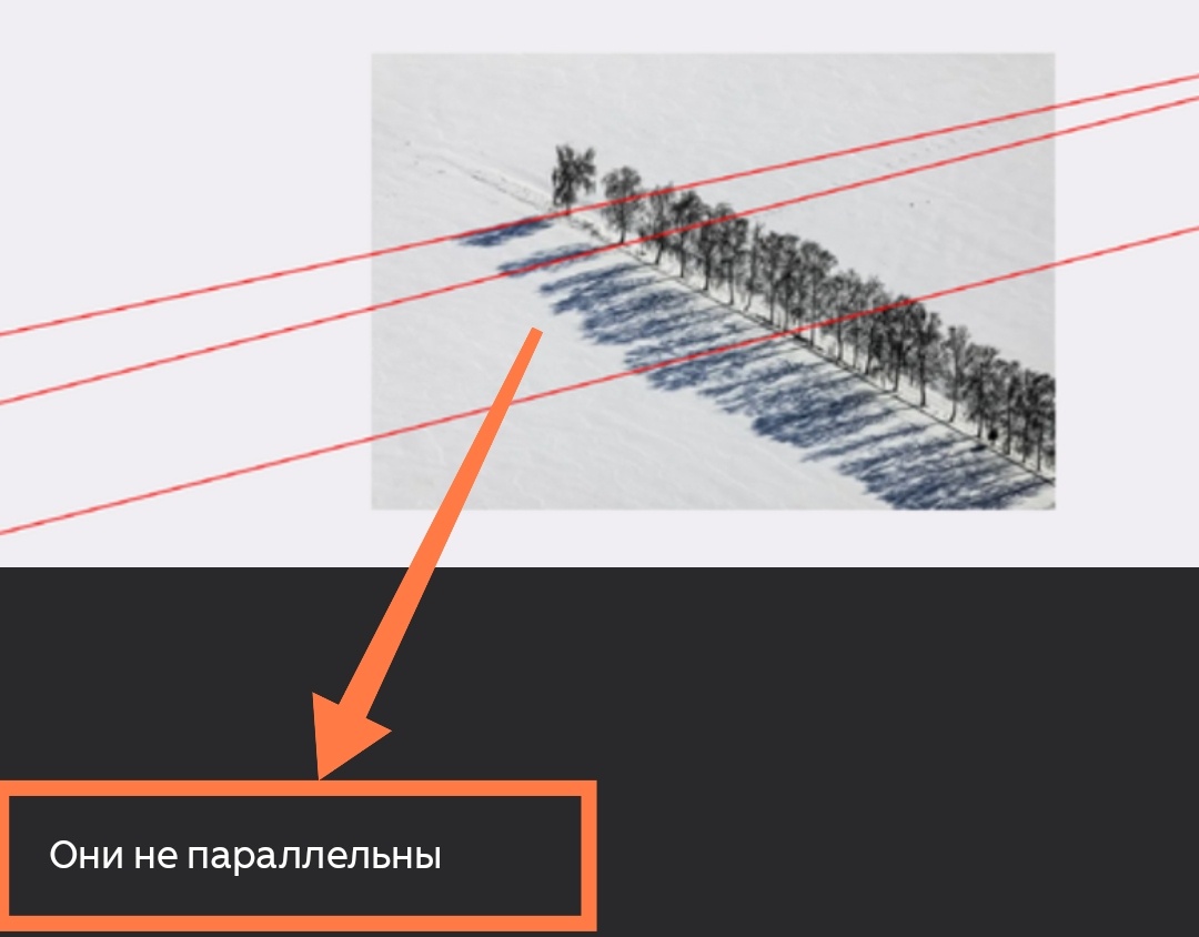 Песчаный воин накорябал какие-то линии от теней деревьев и написал чепуху о том, что тени деревьев не параллельны. 