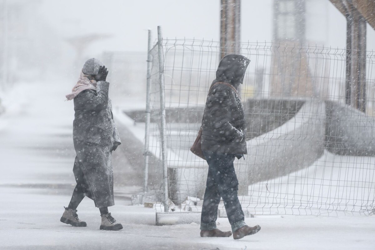     / Источник: © Александр Мелехов/ТАСС