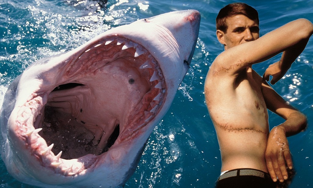 Фотография из интернета