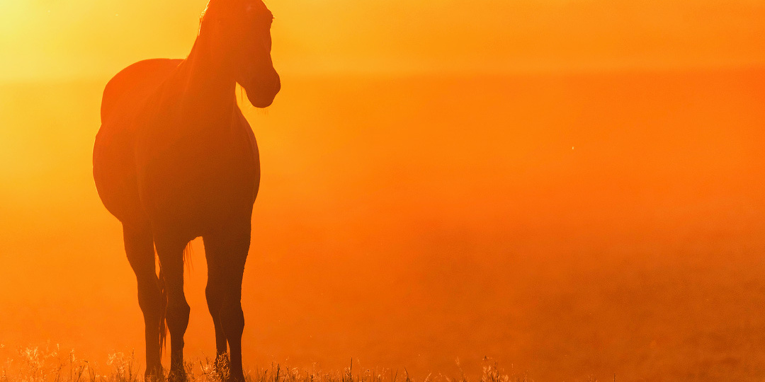 С Новым годом!