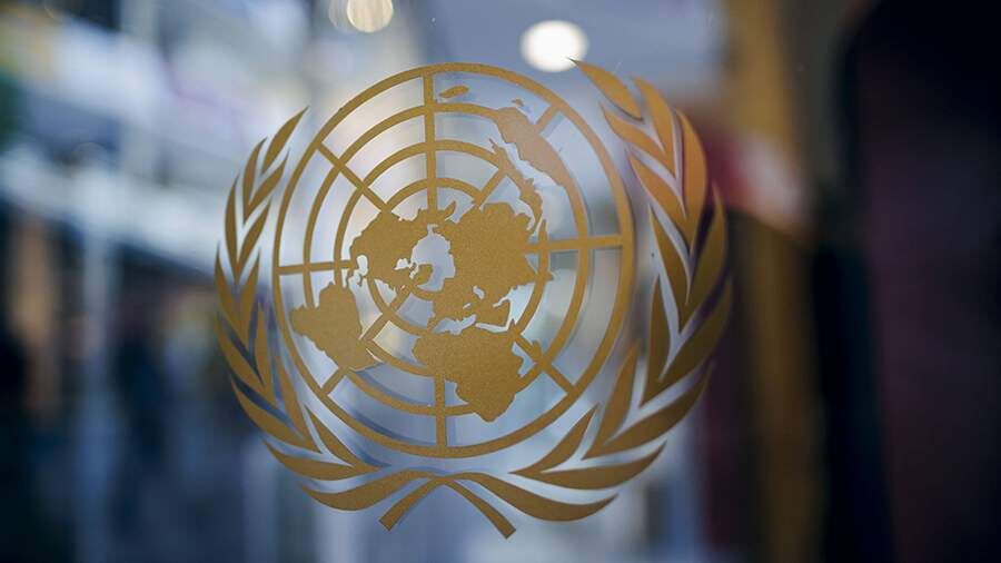    Фото: TASS/IMAGO/Thomas Trutschel